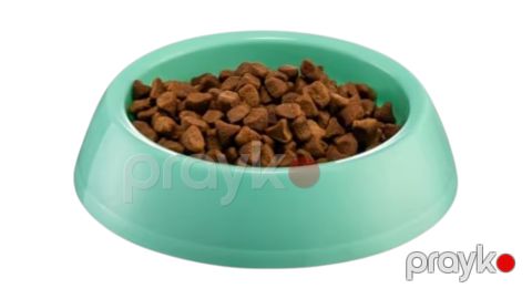 Pişiklər üçün yem qabı, plastik, yaşıl, 14x3.5 sm — Bakı