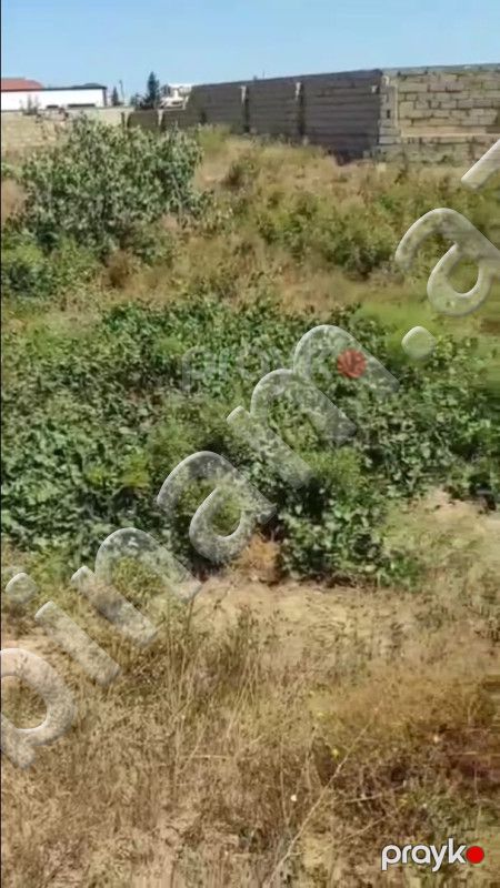 7 sot Torpaq, Satış, Bakı, Sabunçu — Torpaq, Bakı (3)
