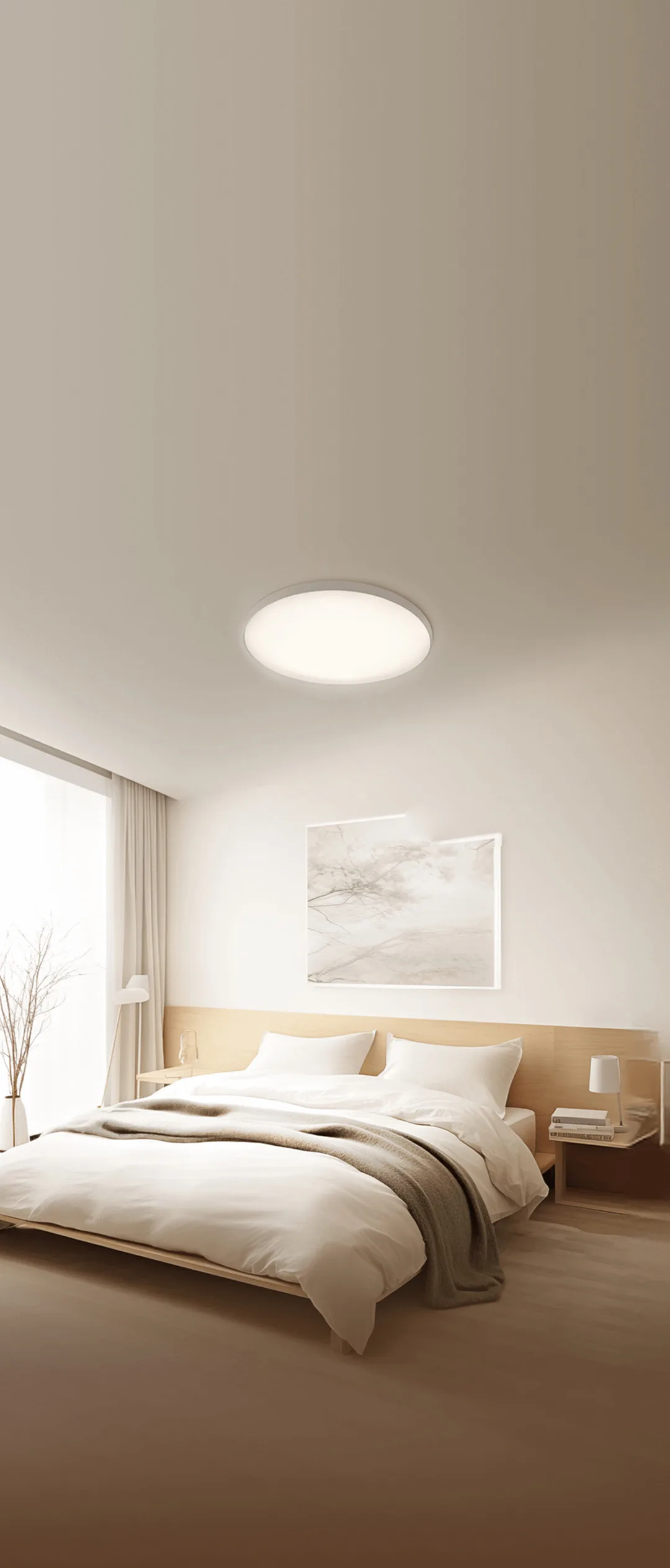 Ağıllı işıqlandırma Xiaomi Smart Ceiling Light D30 (BHR9934GL) — Mallar, Bakı (2)