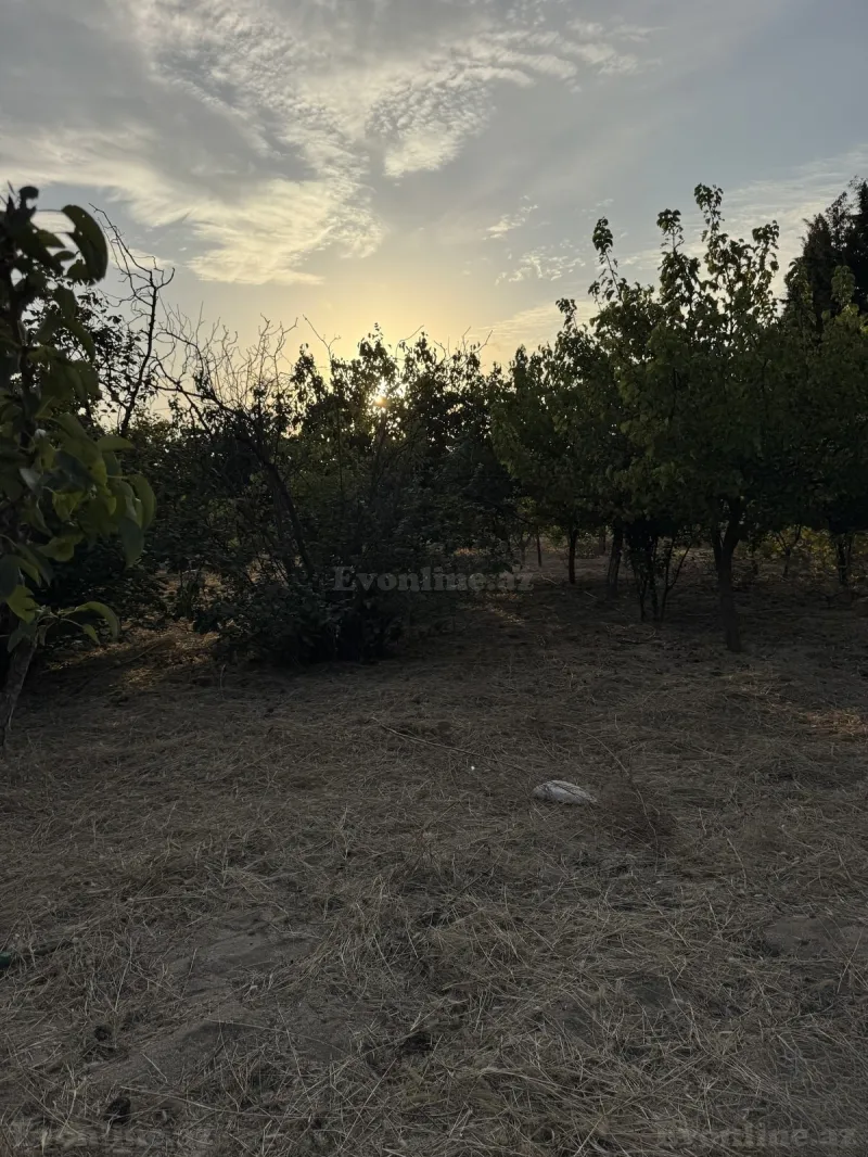 Satılır Torpaq 4 sot Bakı, Abşeron r., Novxanı — Torpaq, Bakı (6)