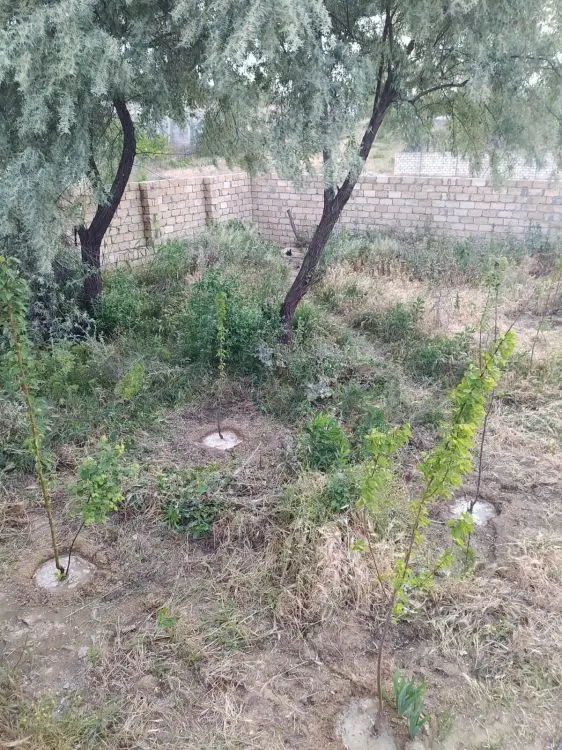 3 otaqlı Yarım tikili Satılır, Novxanı, Abşeron — Ev, villa (6)