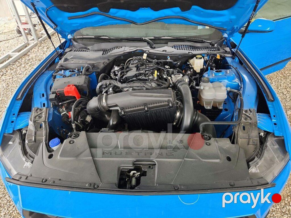 Ford Mustang, 2.3 L, 2025 il, 16 842 km — Avtomobillər (11)
