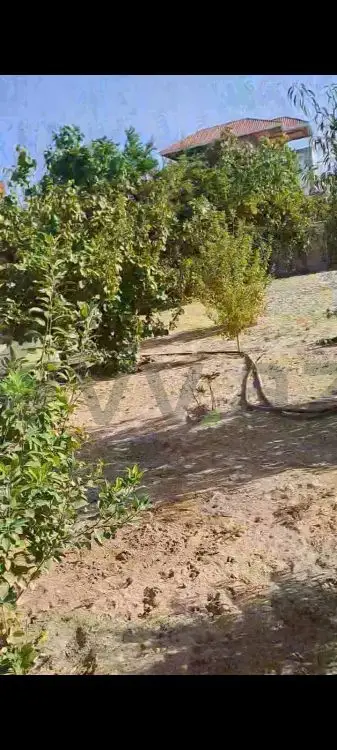 4 otaqlı Həyət evi Satılır, Albalı qəs., Sabunçu, Bakı — Ev, villa, Bakı (12)