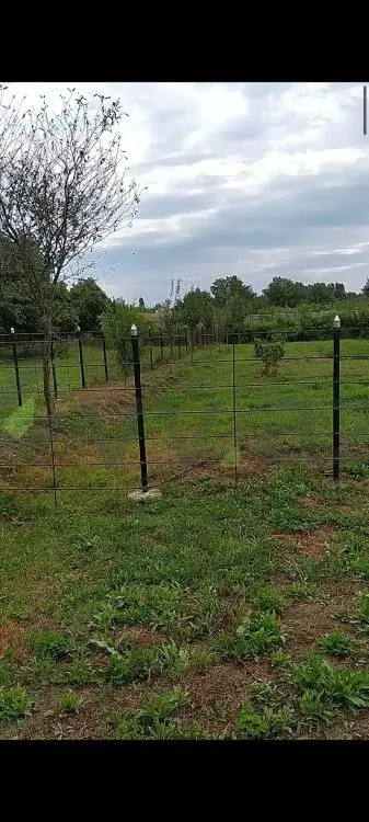3 otaqlı Həyət evi Satılır, Balakən — Ev, villa, Balakən (4)