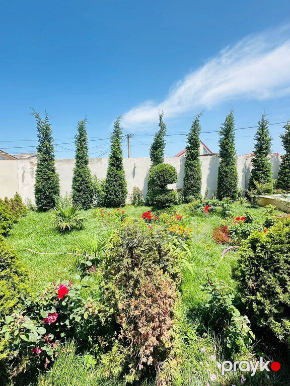 Bağ evi kirayə verilir, Mərdəkan qəs — Ev, villa, Bakı (5)
