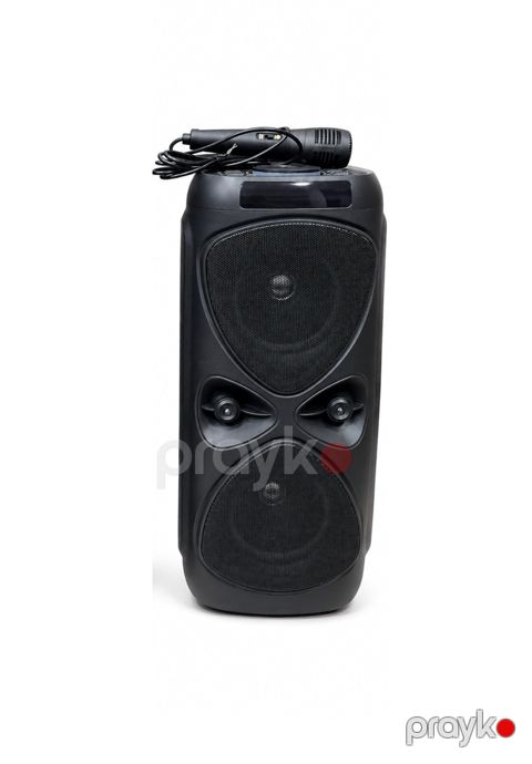 MS-2077BT Bluetooth karaoke mikrofonlu portativ speaker — Bakı