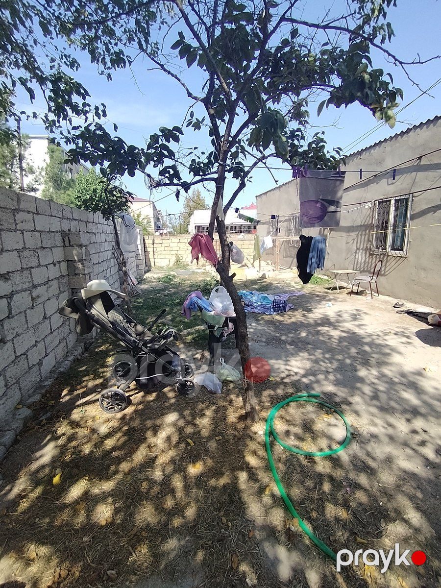2.5 sot torpaq sahəsi, 16-cı mkr — Torpaq, Sumqayıt (7)