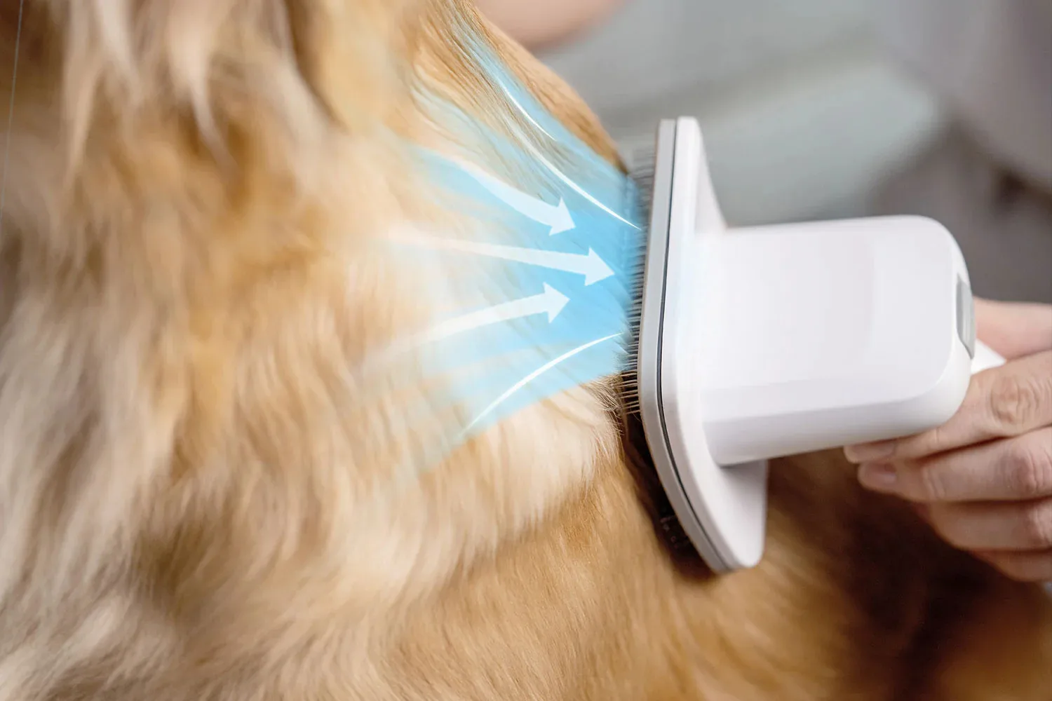 Petkit Pet Grooming Vacuum Kit 5-in-1 — Mallar, Bakı (4)