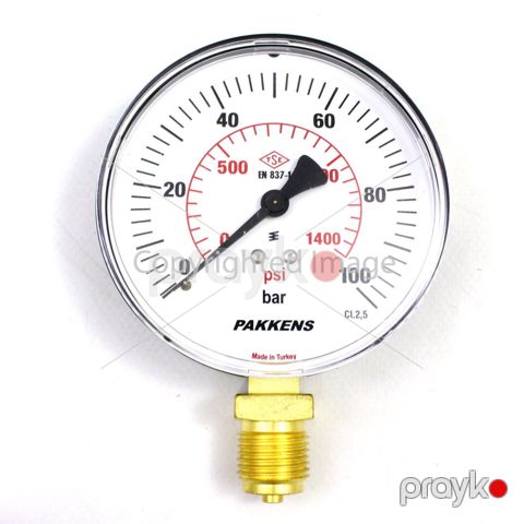 Manometr quru tipli (0-100 Bar 100 mm 1/2") Pakkens 1001000112 — Bakı