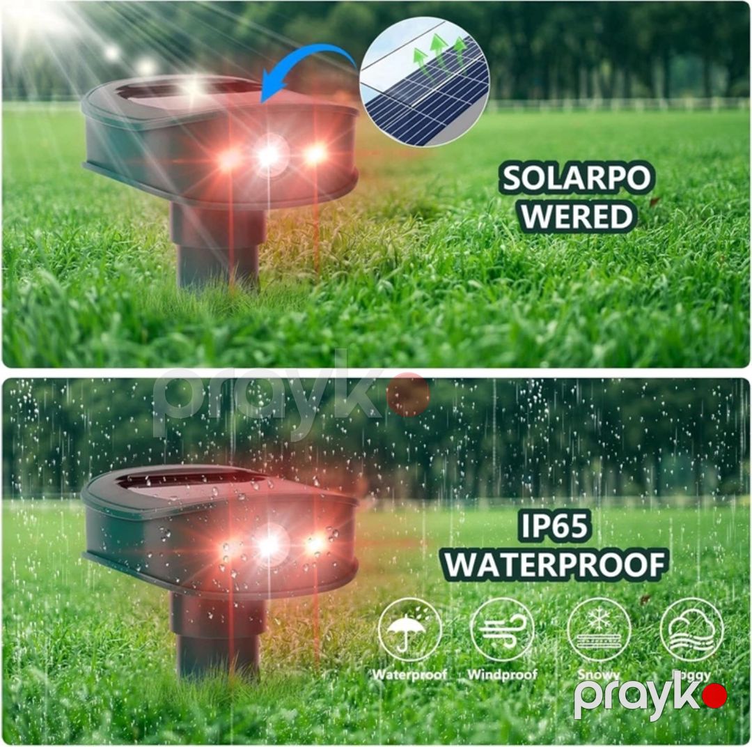 Ultrasəsli heyvanqovucu cihaz JS-55-07 — Mallar, Bakı (2)