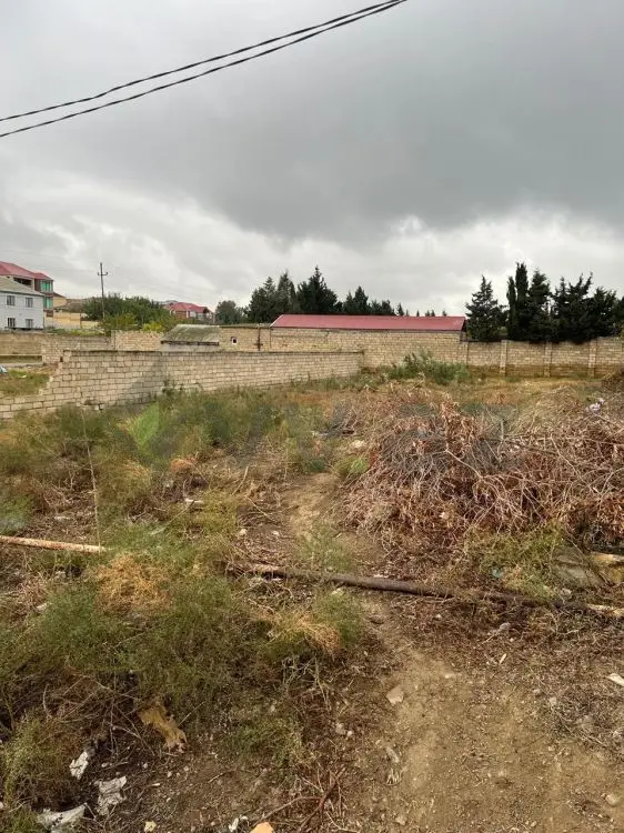 8 sot Torpaq Satılır, Novxanı, Abşeron — Torpaq (3)