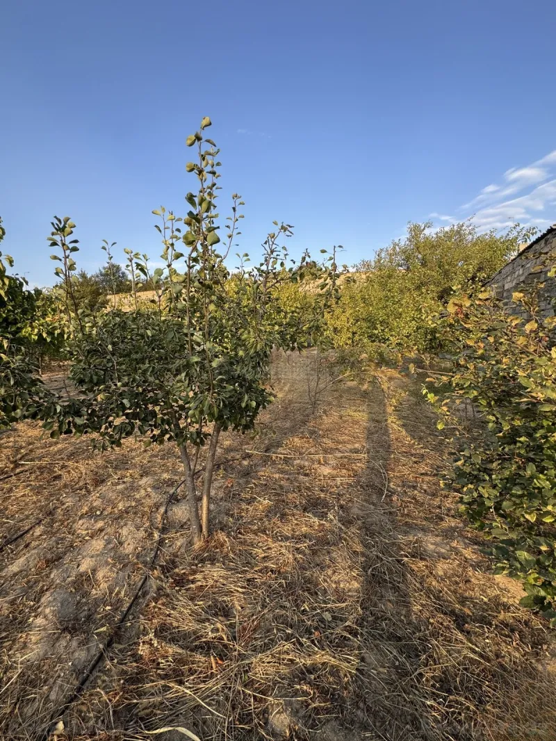 Satılır Torpaq 3 sot Bakı, Abşeron r., Novxanı — Torpaq, Bakı (4)