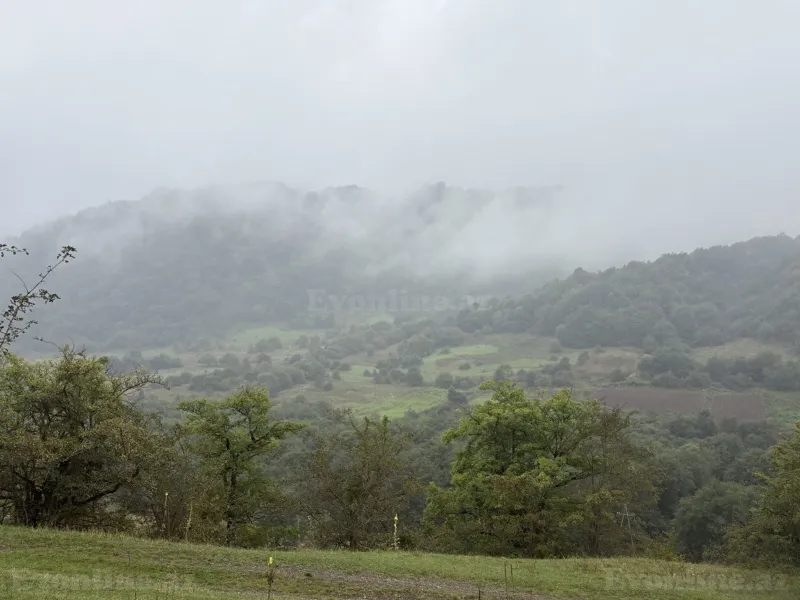 Satılır Torpaq 12 sot Quba — Torpaq, Quba (2)