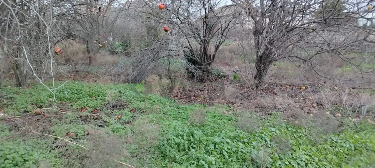 3 sot Torpaq Satılır, Əhmədli, Xətai, Bakı — Torpaq, Bakı (4)