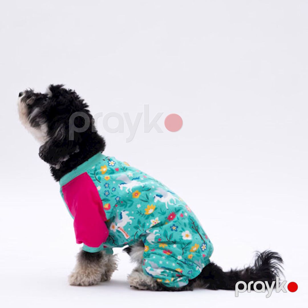 Pijama Pawstar Mint Unicorn itlər üçün, 2XL, yaşıl — Mallar, Bakı (2)