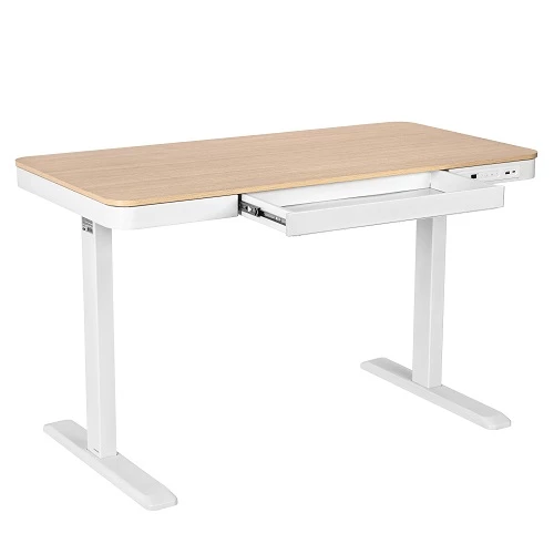 2E CE218D-Motorized Gaming Desk — Kompüterlər və noutbuklar, Bakı (3)