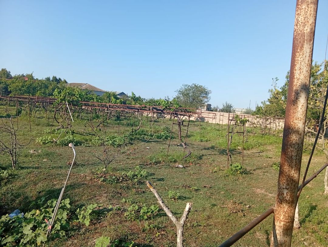 Satış: Torpaq, 12 sot, Sabunçu rayonu — Torpaq, Bakı (8)