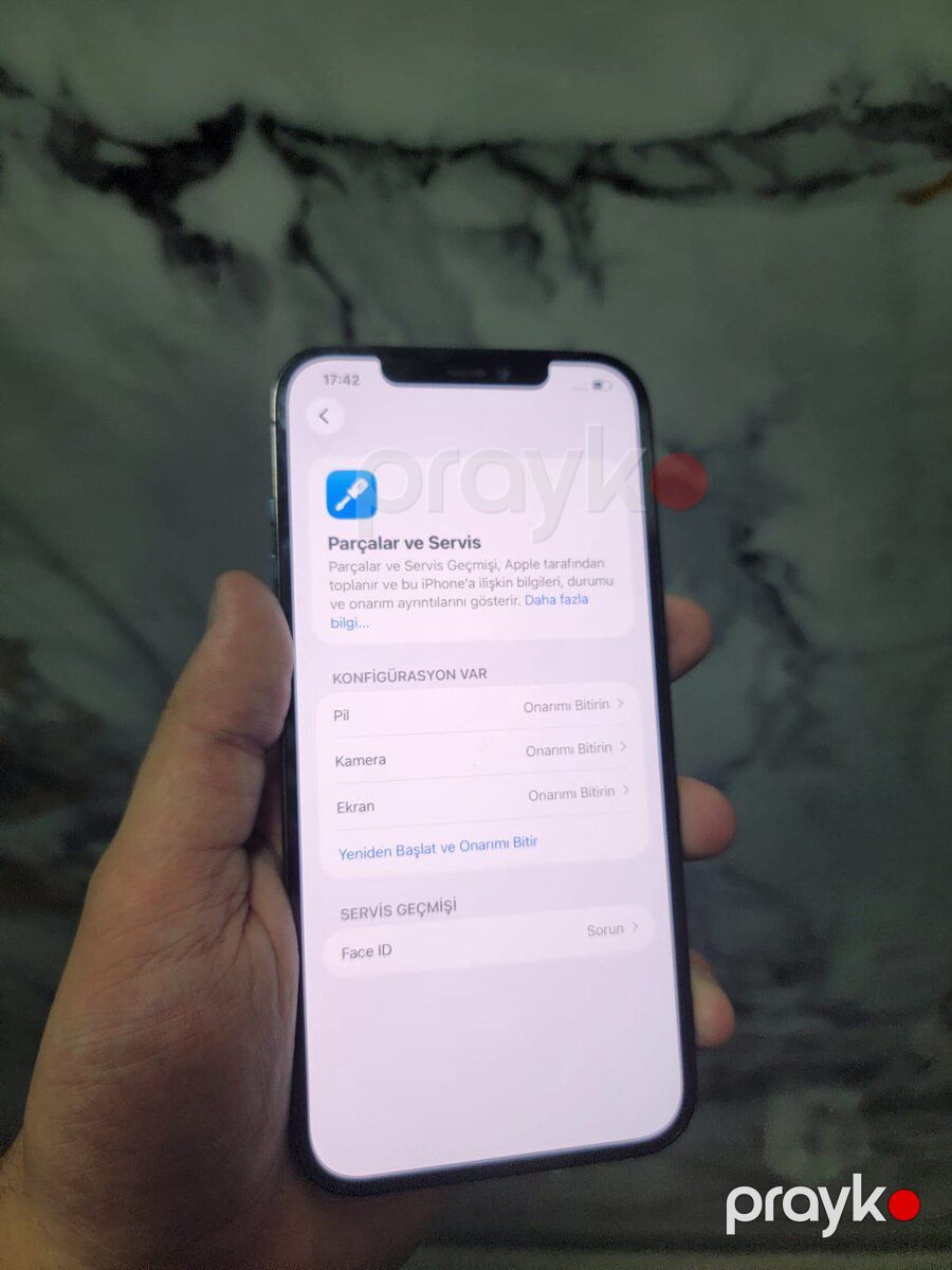 Apple iPhone 12 Pro Max Pacific Blue 256GB/6GB — Smartfonlar, Bakı (4)