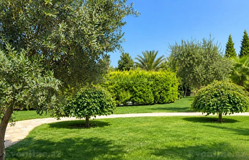 Satılır Torpaq 182 sot Bakı, Xəzər r., Şüvəlan — Torpaq, Bakı (4)