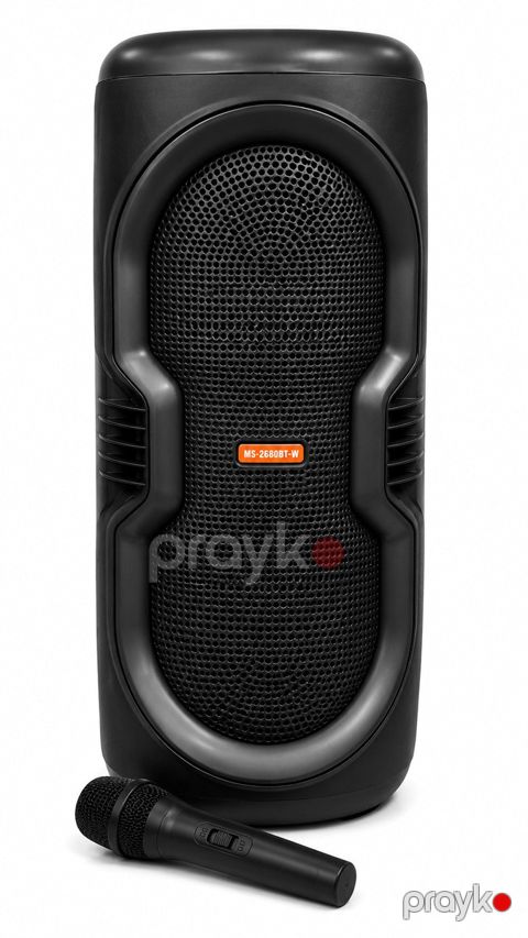 Karaoke bluetooth dinamik MS-2050BT-W — Bakı