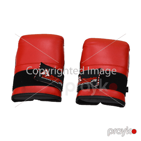 Sparring əlcəkləri Absolute Champion 1402 — Bakı