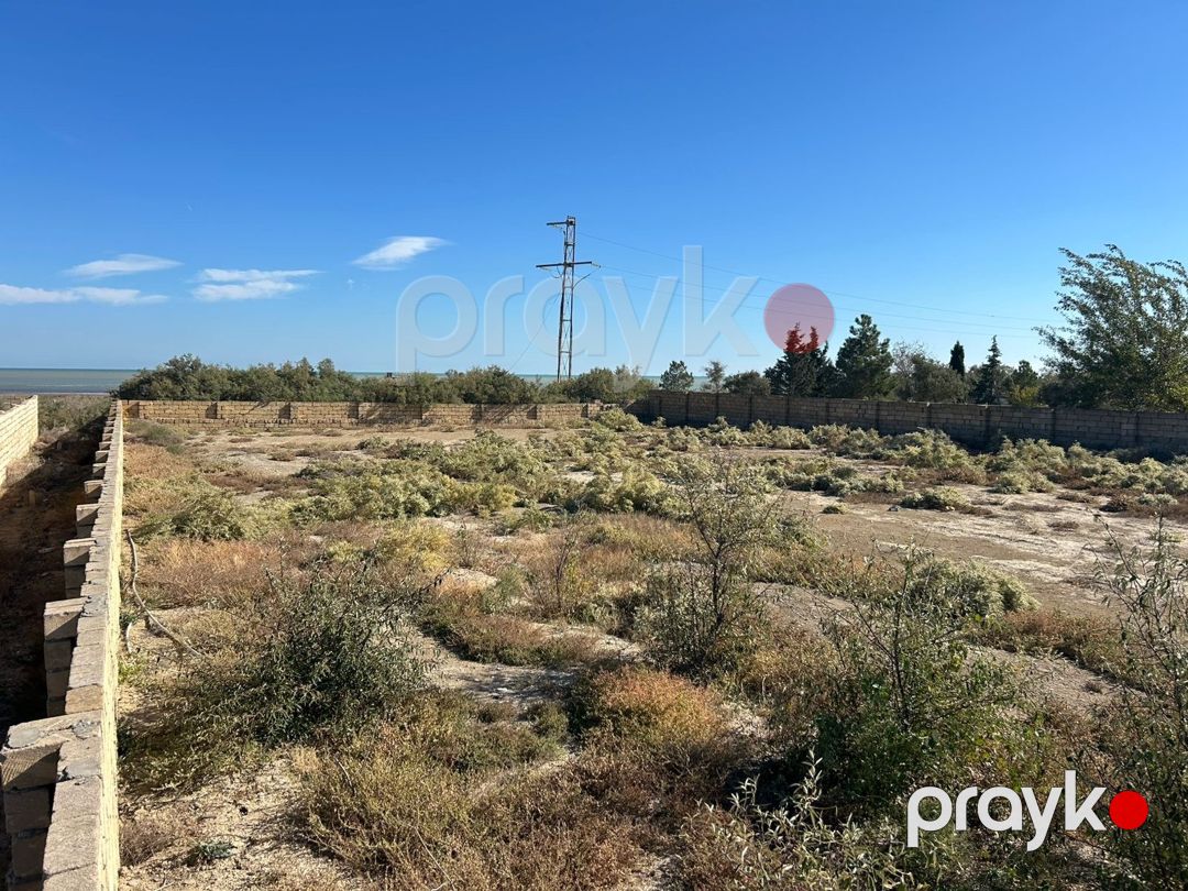 Satılır torpaq 24 sot — Torpaq, Bakı (11)