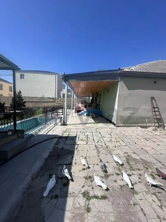 20 sot Torpaq Satılır, Masazır, Abşeron — Torpaq (2)