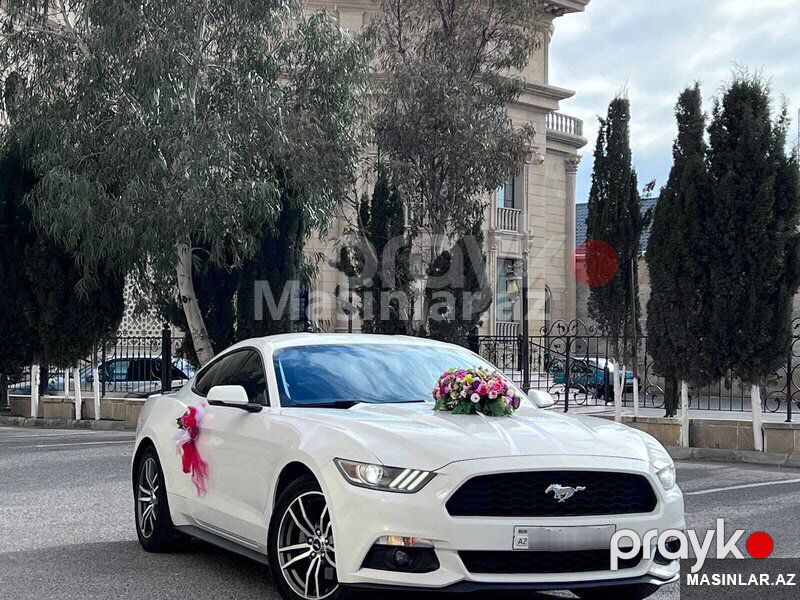 Ford Mustang coupe, 2017 il — Minik avtomobili icarəsi, Bakı (2)
