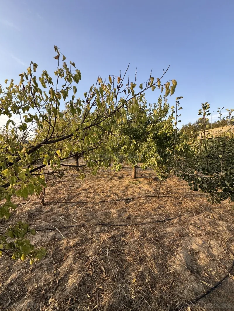 Satılır Torpaq 3 sot Bakı, Abşeron r., Novxanı — Torpaq, Bakı (3)