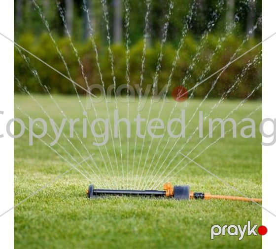 Çiləyici Fiskars 1023661 — Dacha və bağ, Bakı (5)