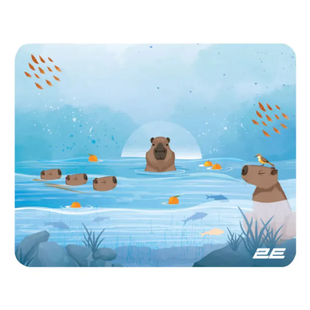 Mouse altlığı 2E Capybarra S Blue (2E-PAD-S-CAPY-BLUE) — Bakı