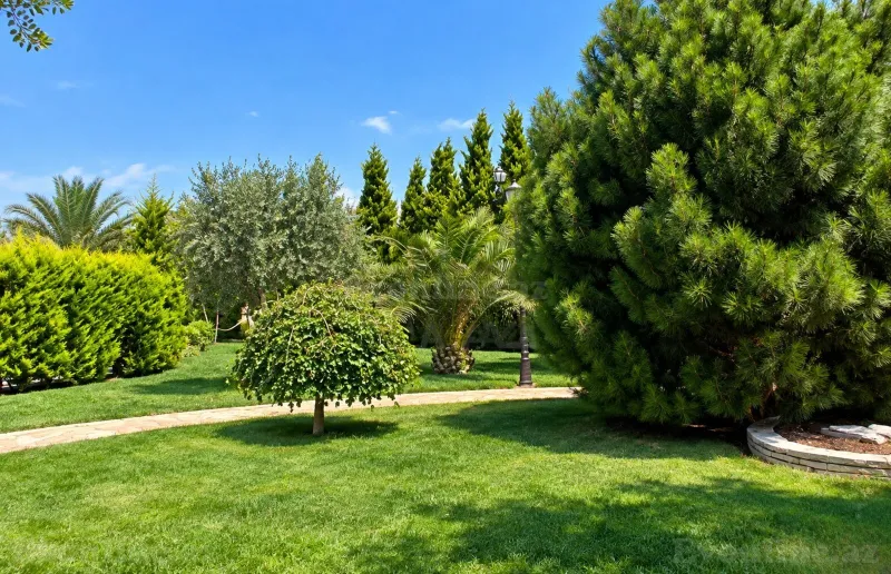 Satılır Torpaq 182 sot Bakı, Xəzər r., Şüvəlan — Torpaq, Bakı (6)