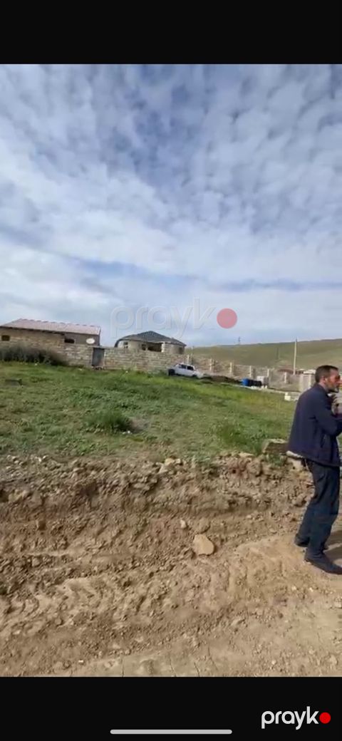 Tikinti, Kupça (Çıxarış) — Bakı