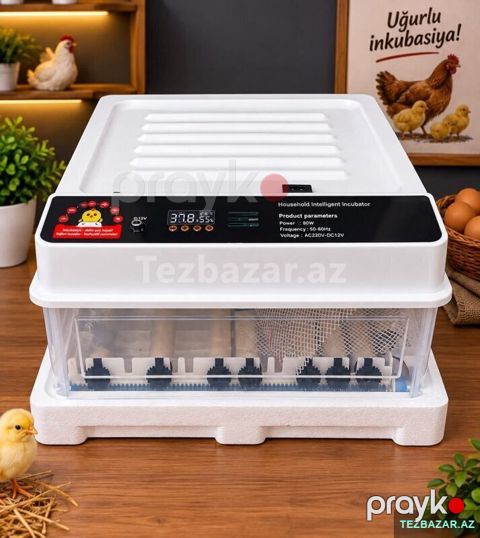 İnkubator 30 yumurtalıq — Bakı
