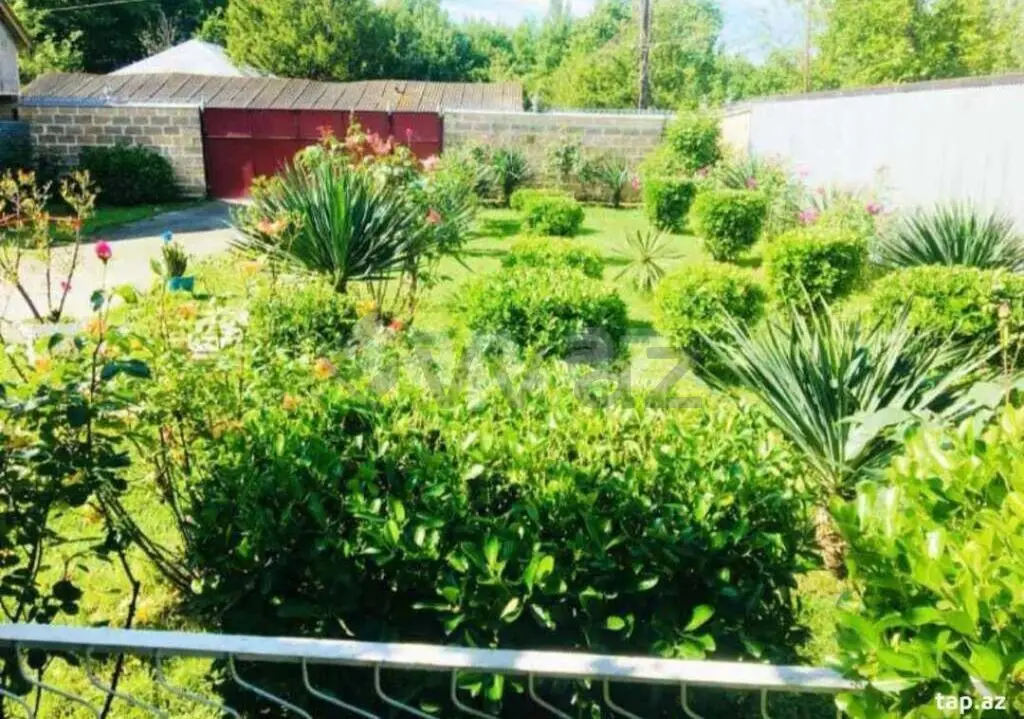 3 otaqlı Həyət evi Satılır, Balakən — Ev, villa, Balakən (5)