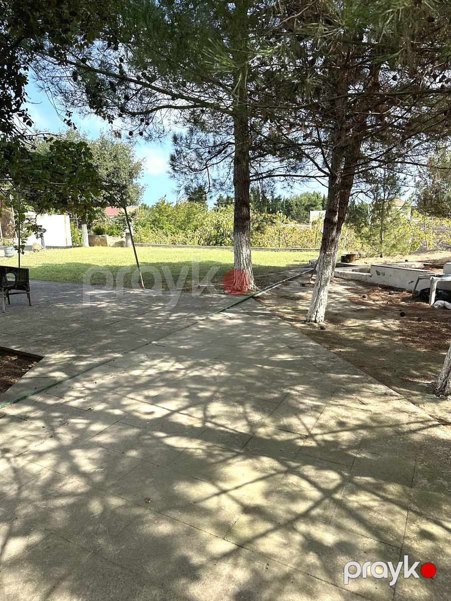 İcarəyə verilir 6 otaqlı həyət evi/bağ evi 225 m² — Ev, villa, Bakı (8)