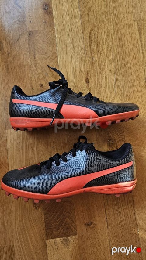 Puma busti — Bakı
