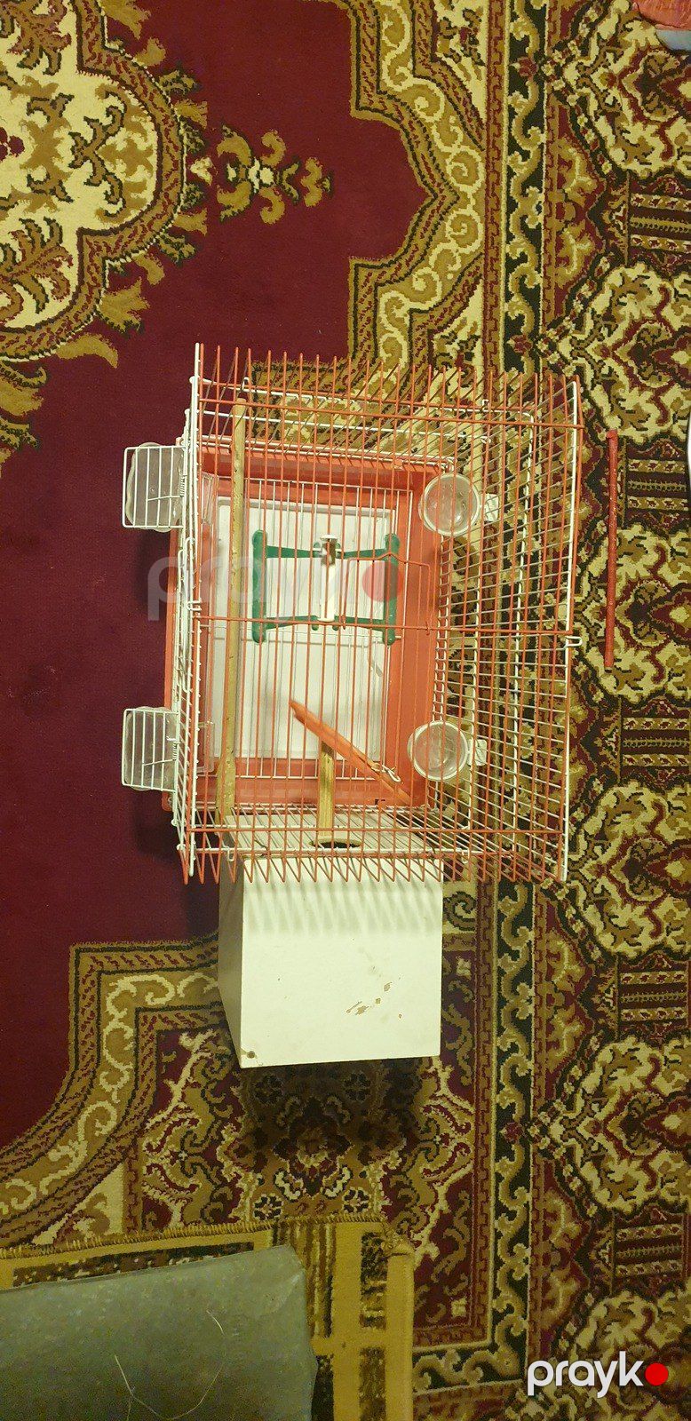 Qəfəs — Heyvan malları, Lənkəran (3)