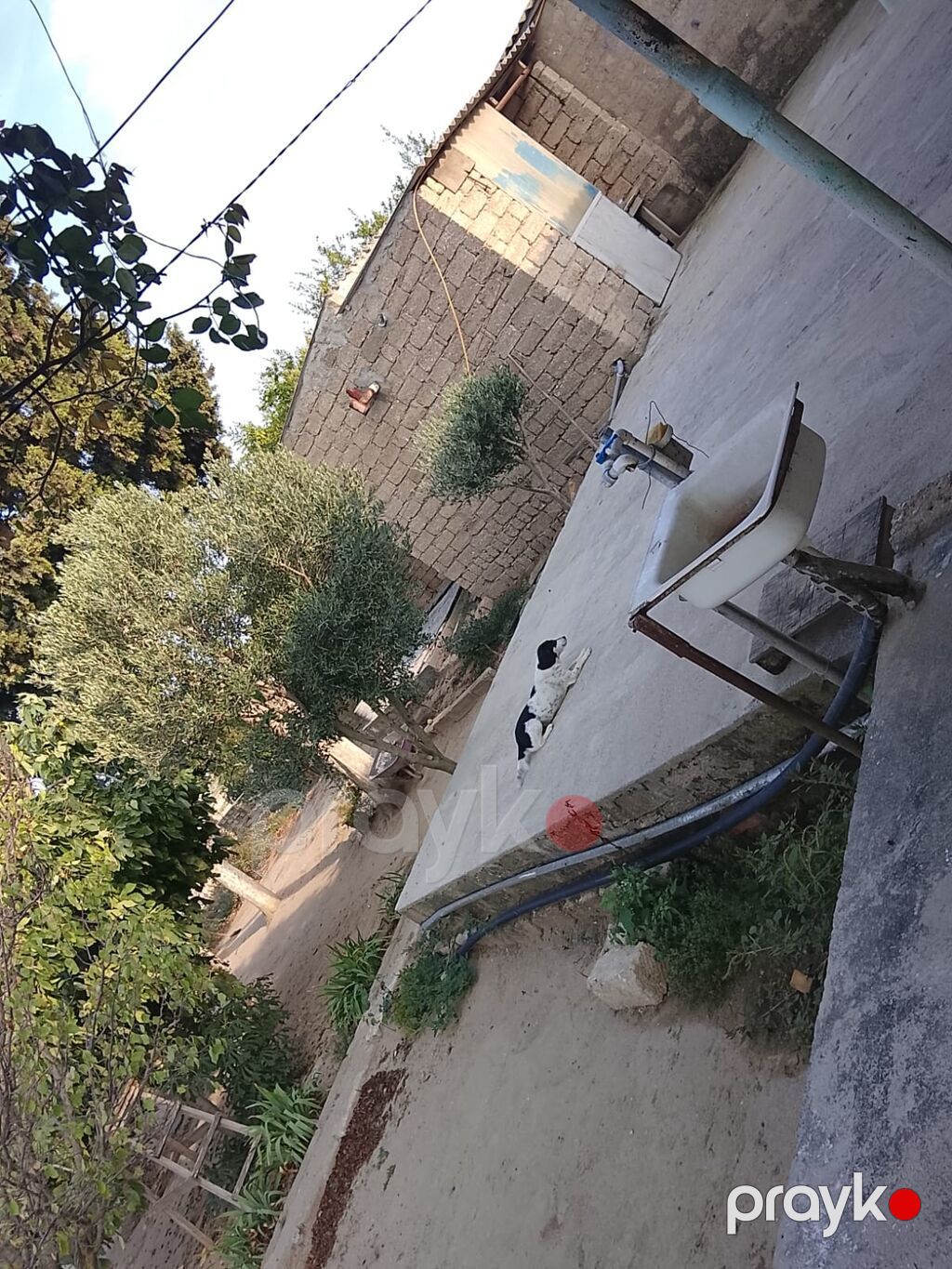 3 otaqlı, 69 kv. m, Orta təmir — Ev, villa, Digah (8)