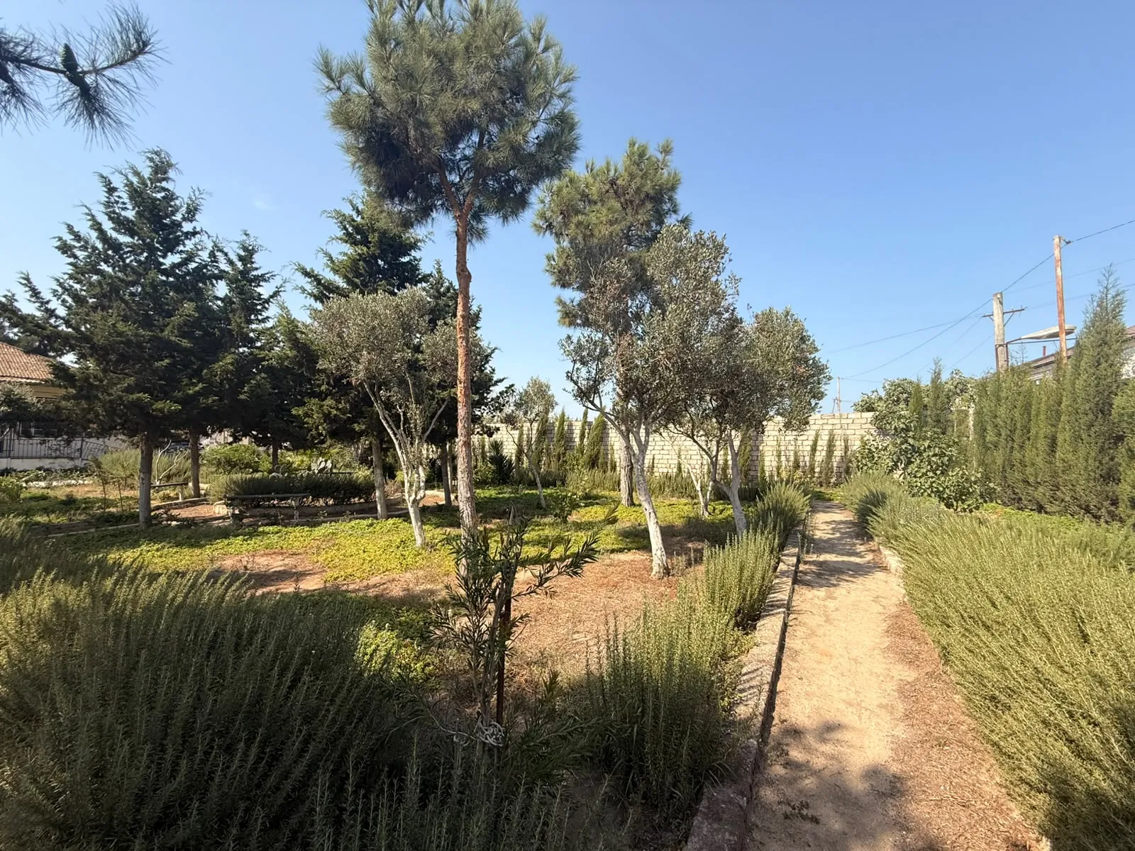 Mərdəkan, Torpaq satılır - 13.2 sot — Torpaq, Bakı (4)