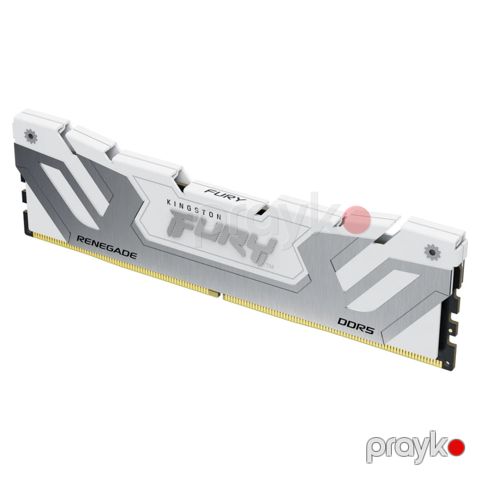 24GB 8800MT/s DDR5 CL42 Cudımm Fury Renegade White — Bakı