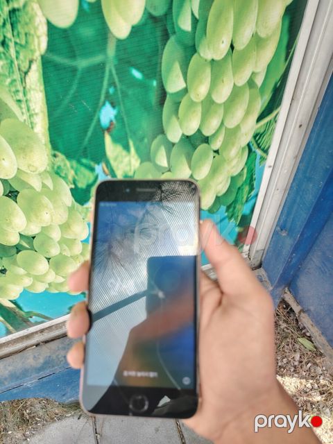 Apple iPhone 8 Plus Gold 64GB — Qusar