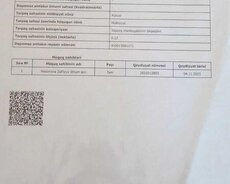 Torpaq Satılır Şamaxı, Şamaxıda kupçalı torpaq, 12 sot — Torpaq, Şamaxı (6)