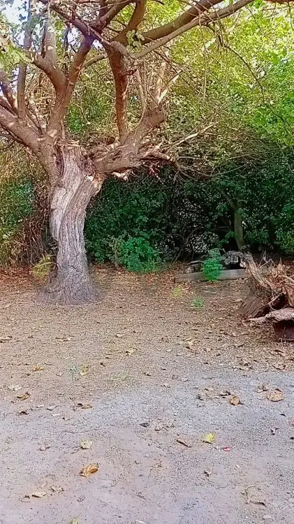 7 sot Torpaq Satılır, Ağcabədi — Torpaq, Ağcabədi (3)