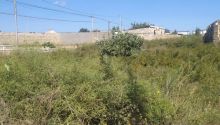 2 otaqlı Yeni tikili, Kirayə (aylıq), Bakı, Nəsimi, Memar Əcəmi — Mənzil, Bakı (2)