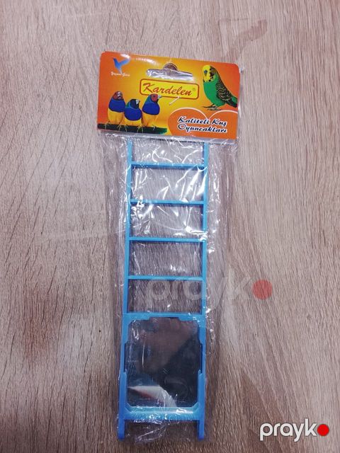 Pilləkən quşlar üçün T267, plastik, mavi — Bakı