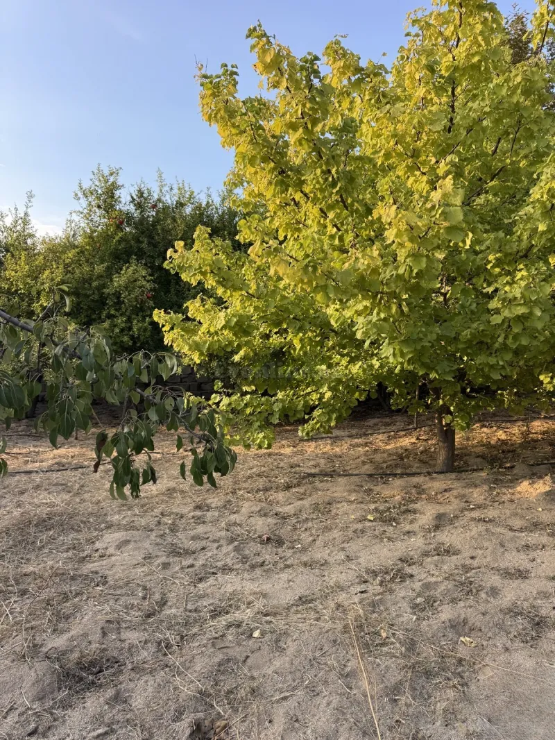 Satılır Torpaq 4 sot Bakı, Abşeron r., Novxanı — Torpaq, Bakı (5)