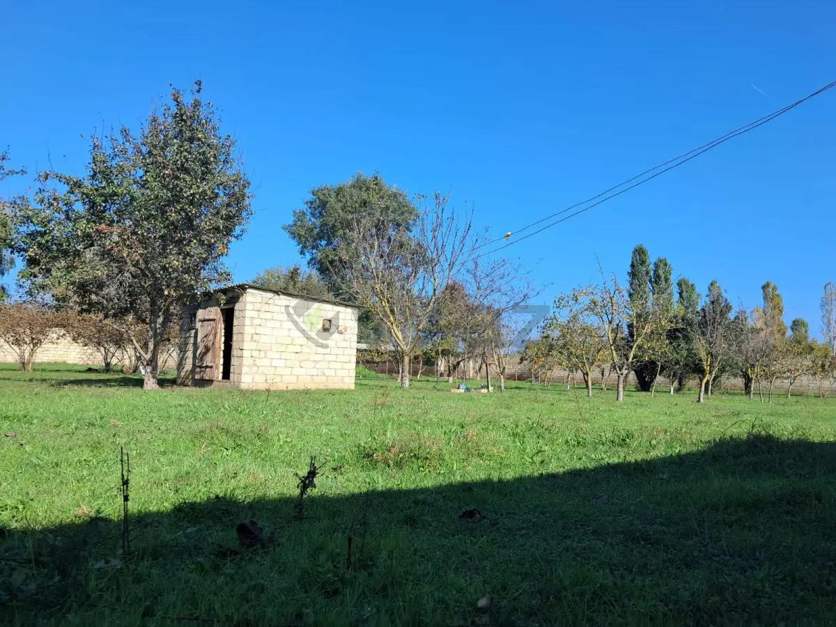 200 sot Torpaq Satılır, Xaçmaz — Torpaq, Xaçmaz (8)