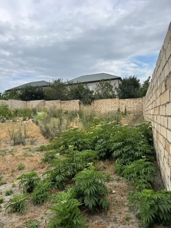 5 sot Torpaq Satılır, Quba — Torpaq, Quba (6)