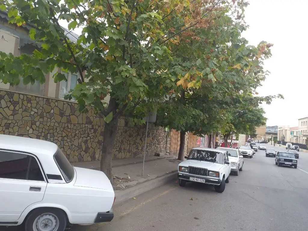 4 otaqlı Həyət evi Satılır, Şamaxı — Ev, villa, Şamaxı (2)
